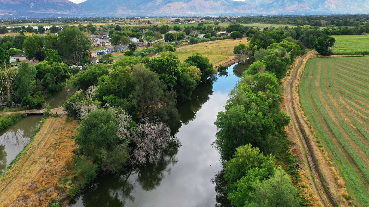 The Weber River and Warren Canal wind through Weber County farmland on July 26, 2023. The Office of the Great Salt Lake Commissioner is looking at creating a split-season leasing program as a possible way to get more water to the Great Salt Lake. Jeffrey D. Allred, Deseret News